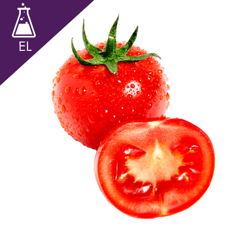 Tomato Extract Liquid