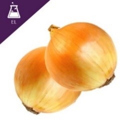 Allium cepa Extract Liquid