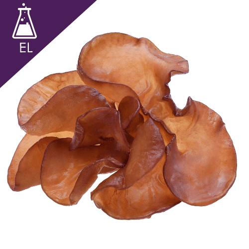 Tremelaria Extract Liquid
