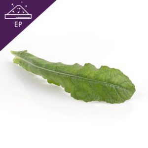 Elephantopus Scaber Extract Powder