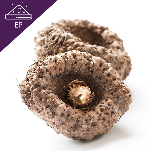 Konjac Extract Powder