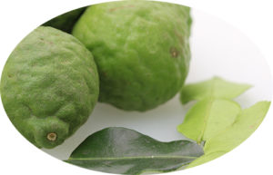 Kaffir Lime Oil
