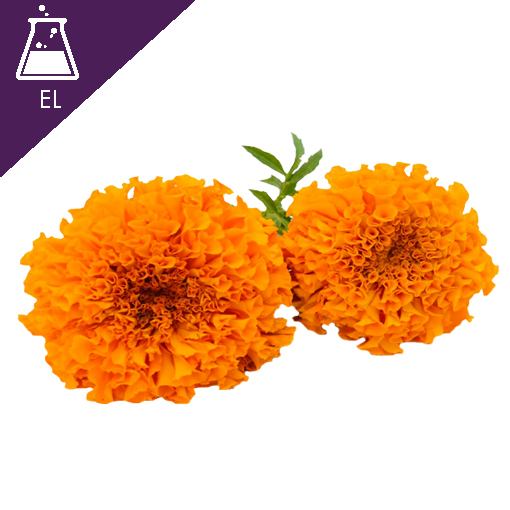 Marigold Extract Liquid