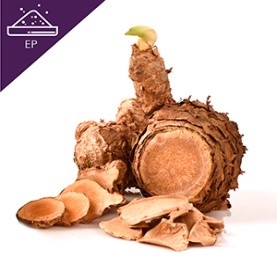 Giant Curcuma Extract Powder