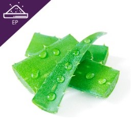 ว่านหางจระเข้ Aloe vera Extract Powder