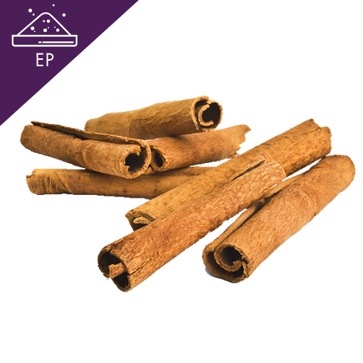 Ginger root in closeup Cinnamon Extract Powder