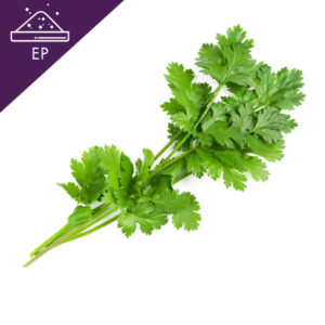 Coriander Extract Powder