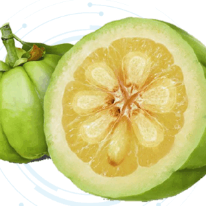 Garcinia Extract Powder