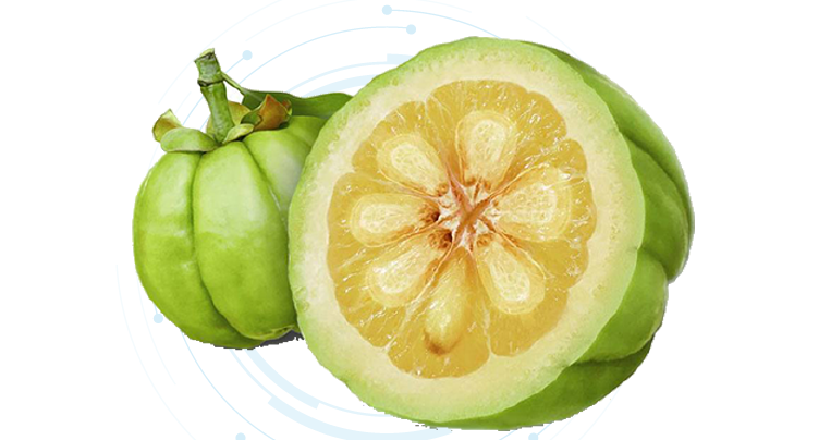 Garcinia Extract Powder