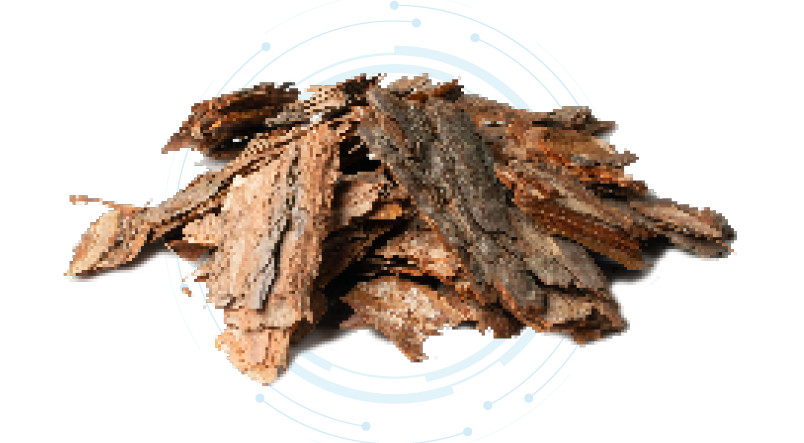 Pine Extract Powder