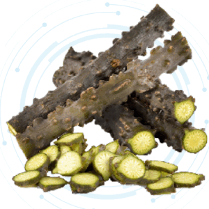 Tinospora Crispa Extract Liquid