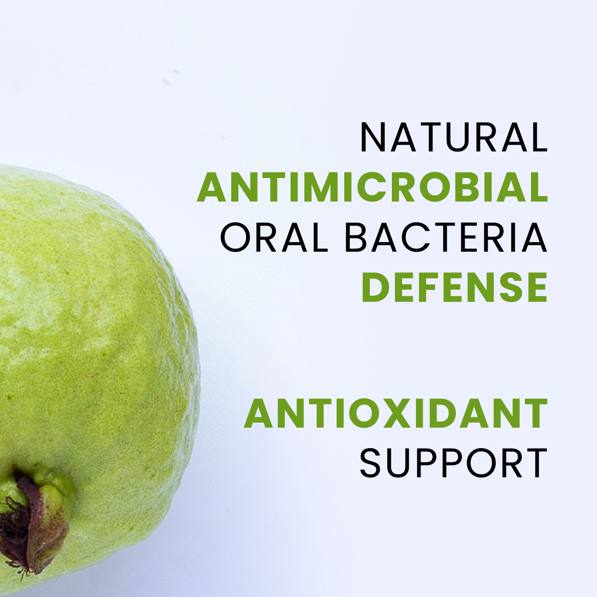���� Guava Extract พลังธรรมชาติ เพื่อสุขภาพที่สมดุล ����