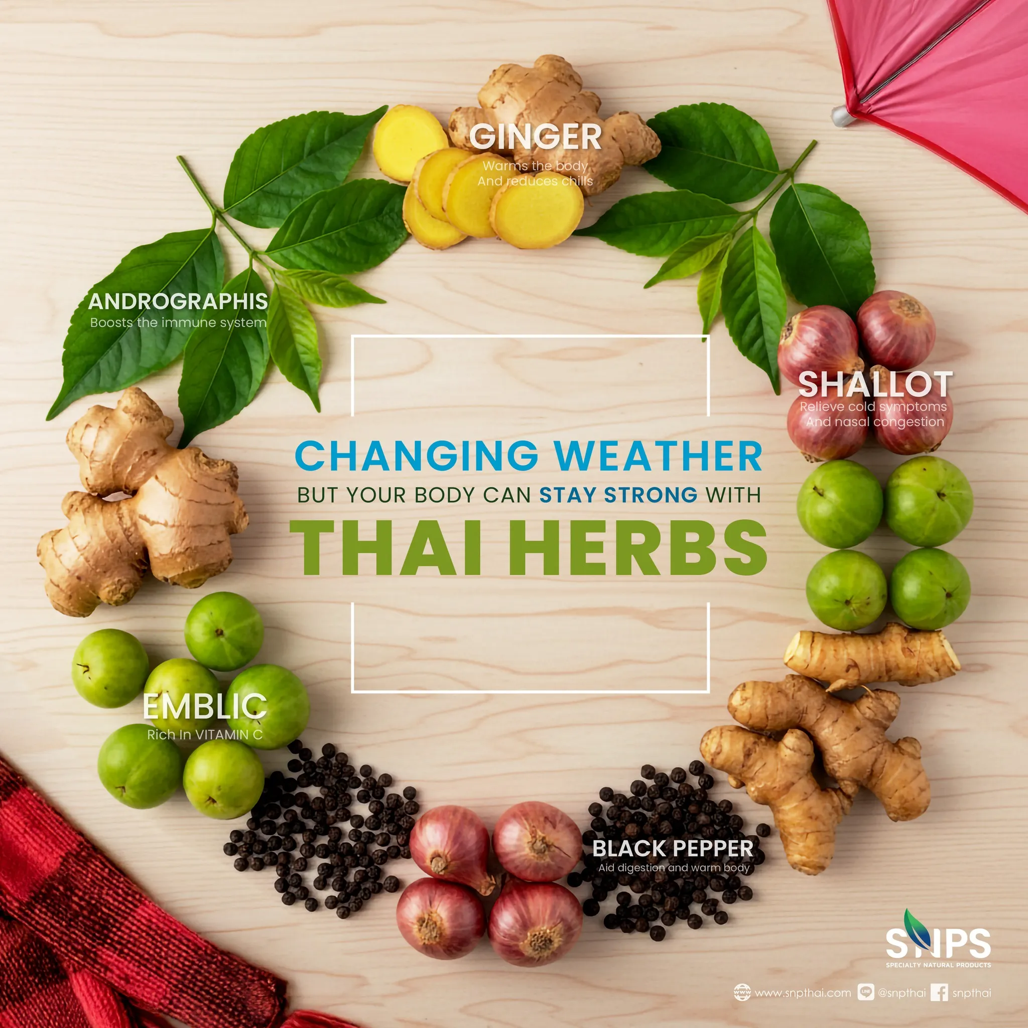 ���� อากาศเปลี่ยน…แต่ร่างกายยังแข็งแรงได้ ด้วยสมุนไพรไทย ����