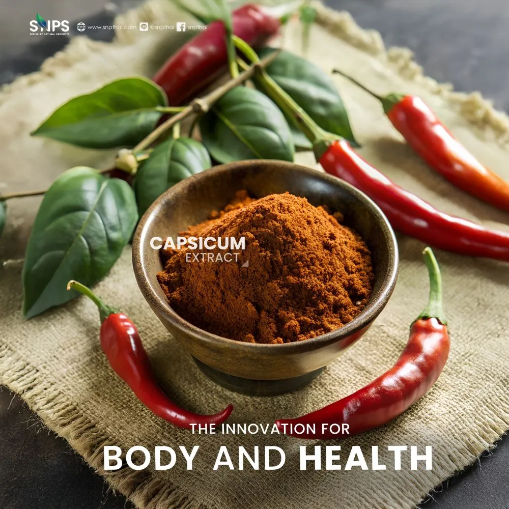 ���� Capsicum Extract พลังเผ็ดร้อนจากพริก เพื่อสุขภาพและความงาม ����